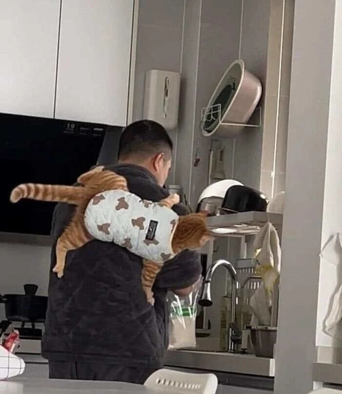 Funny Pets (20 pics)