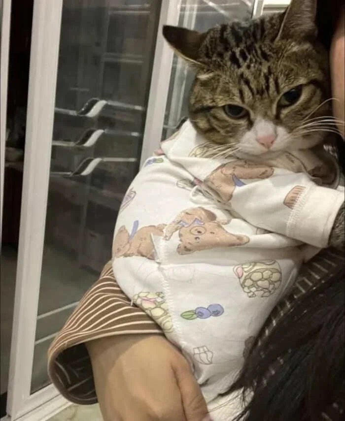 Funny Pets (20 pics)