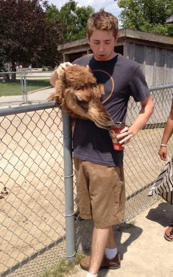 Optical Illusions (22 pics)
