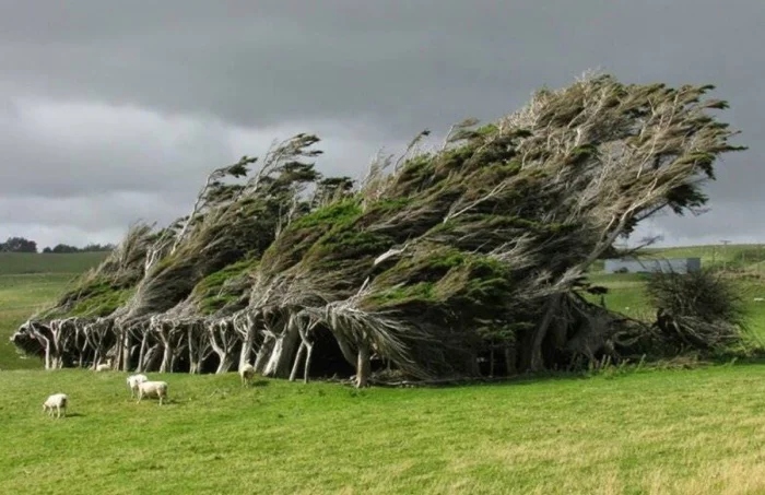 The Power Of Nature (23 pics)