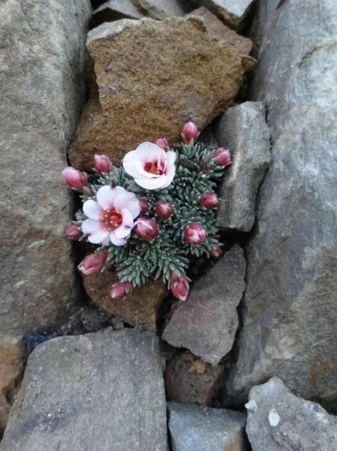 The Power Of Nature (23 pics)