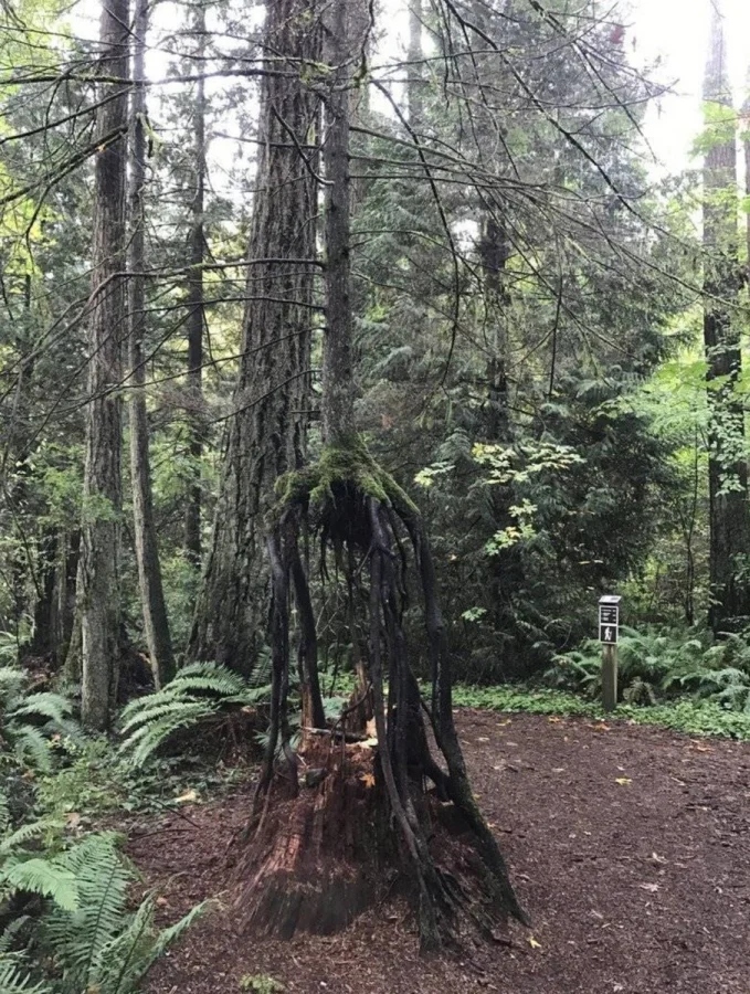 The Power Of Nature (23 pics)
