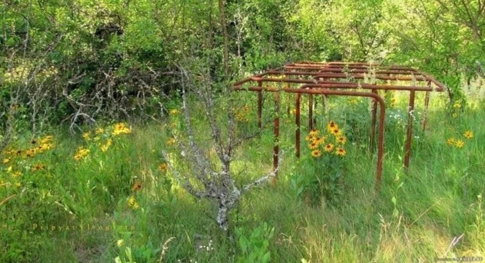 The Power Of Nature (23 pics)