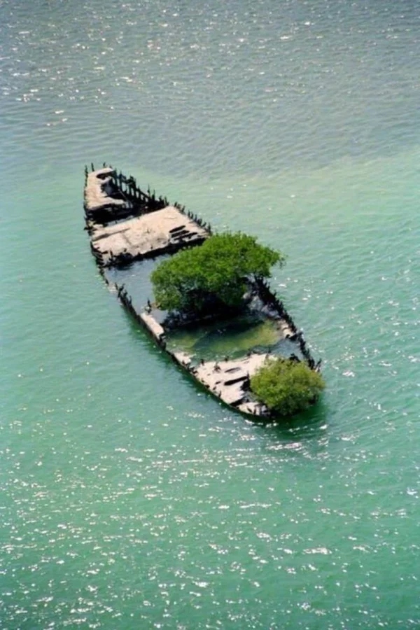 The Power Of Nature (23 pics)