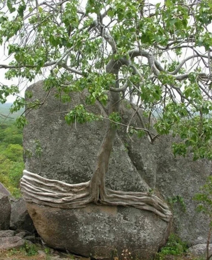 The Power Of Nature (23 pics)