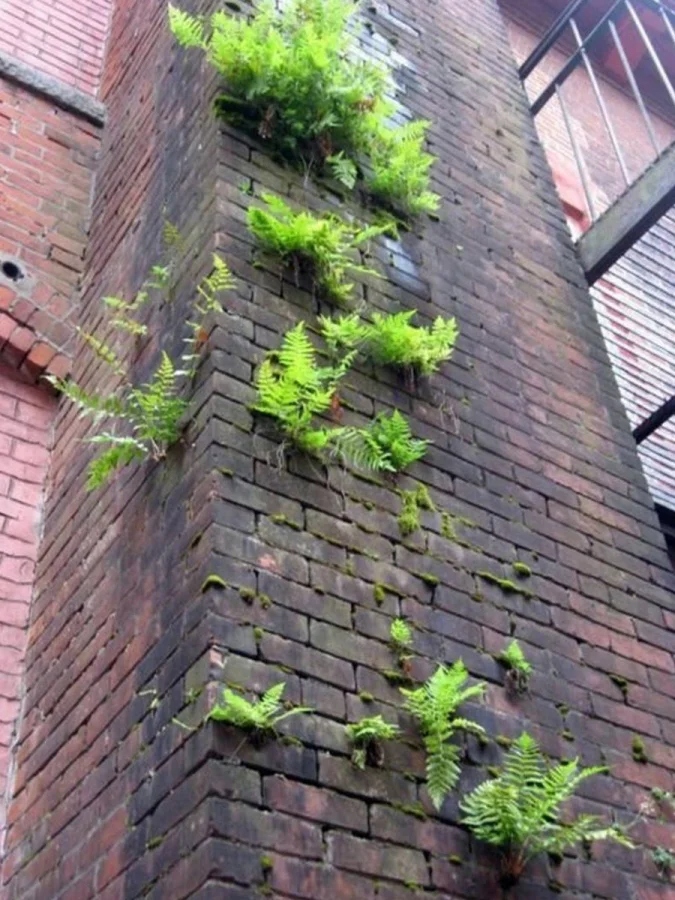 The Power Of Nature (23 pics)