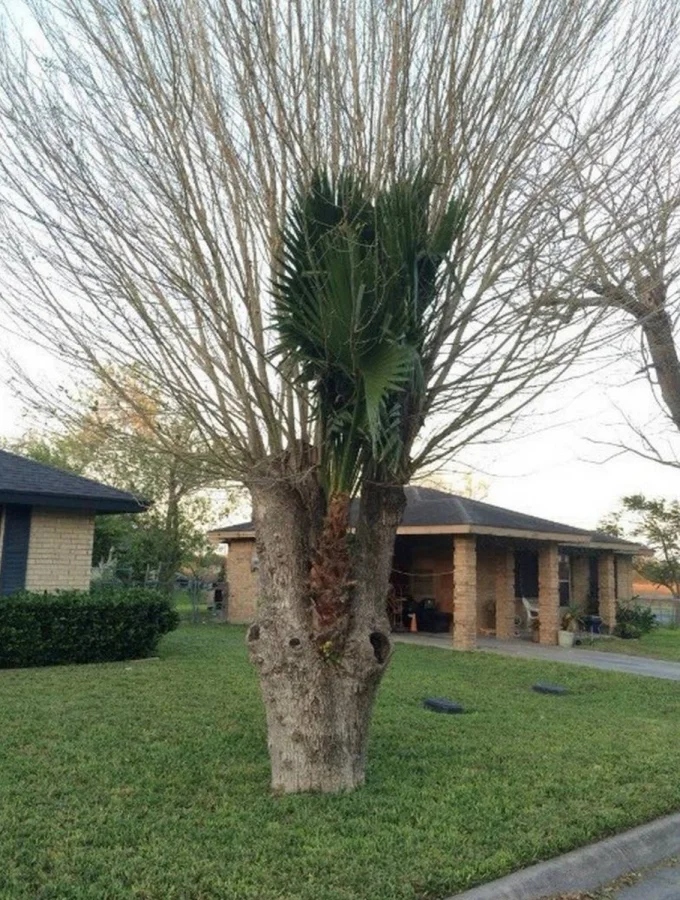 The Power Of Nature (23 pics)