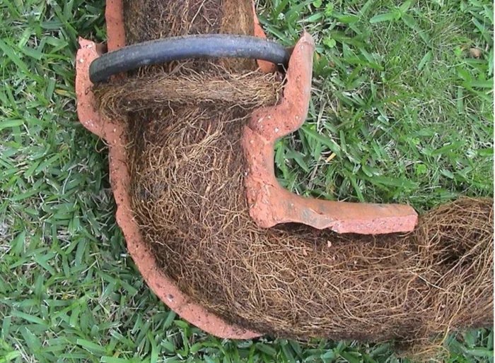 The Power Of Nature (23 pics)