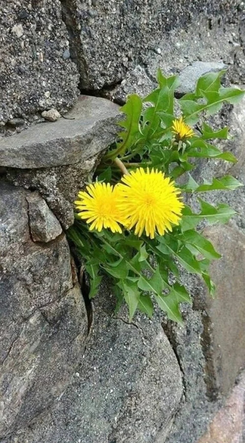 The Power Of Nature (23 pics)