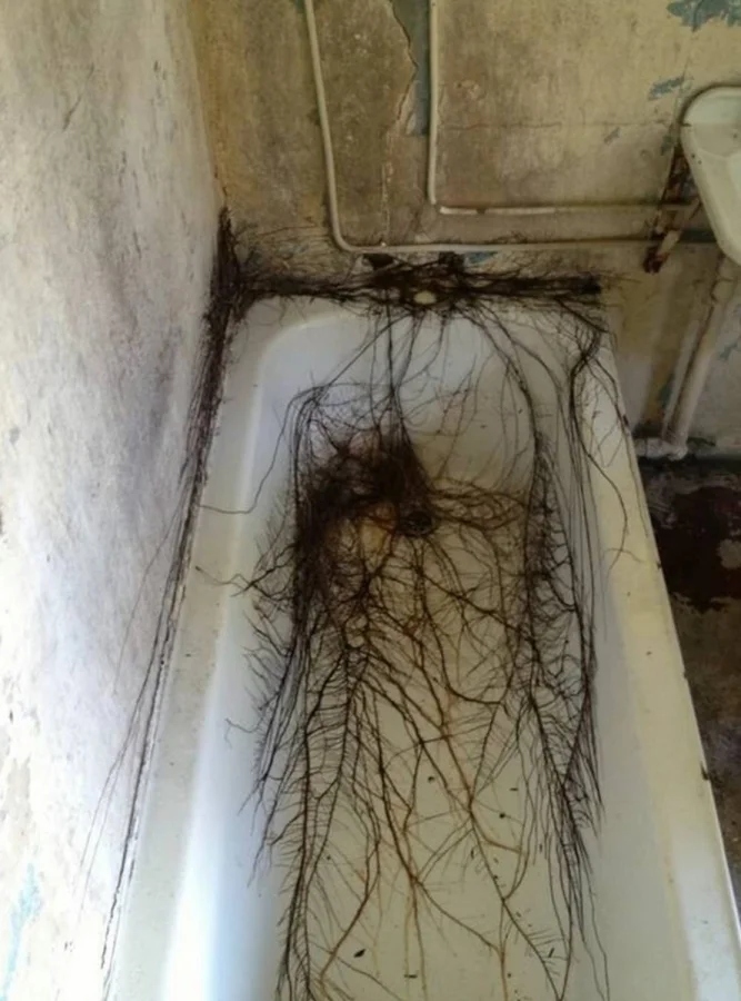 The Power Of Nature (23 pics)