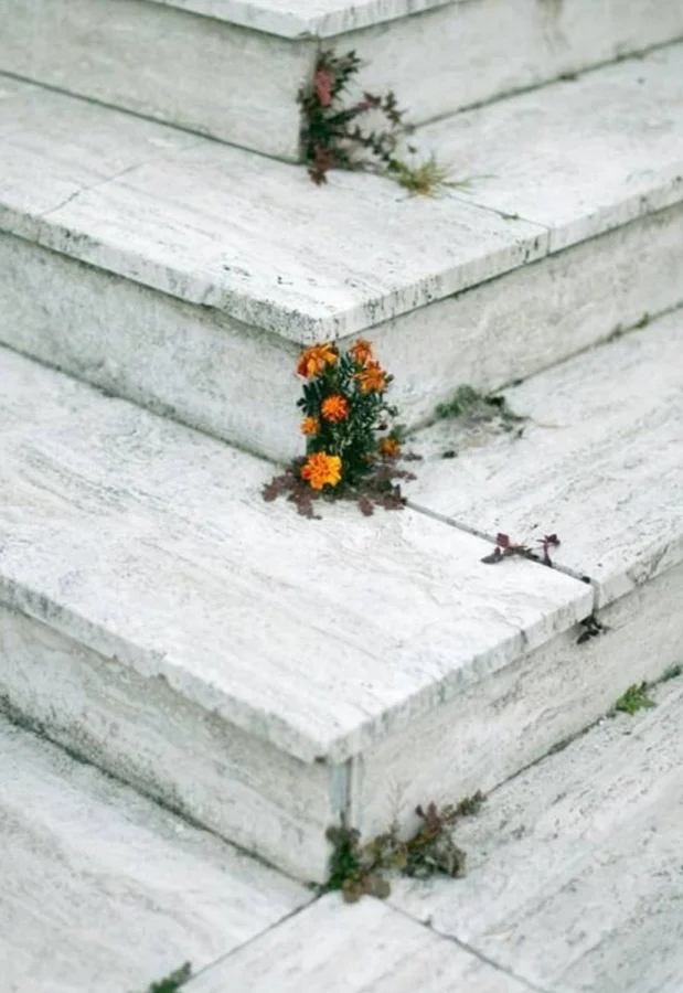 The Power Of Nature (23 pics)