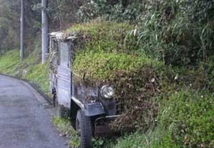 The Power Of Nature (23 pics)