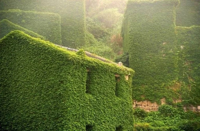 The Power Of Nature (23 pics)
