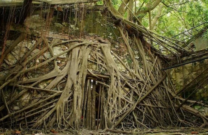 The Power Of Nature (23 pics)
