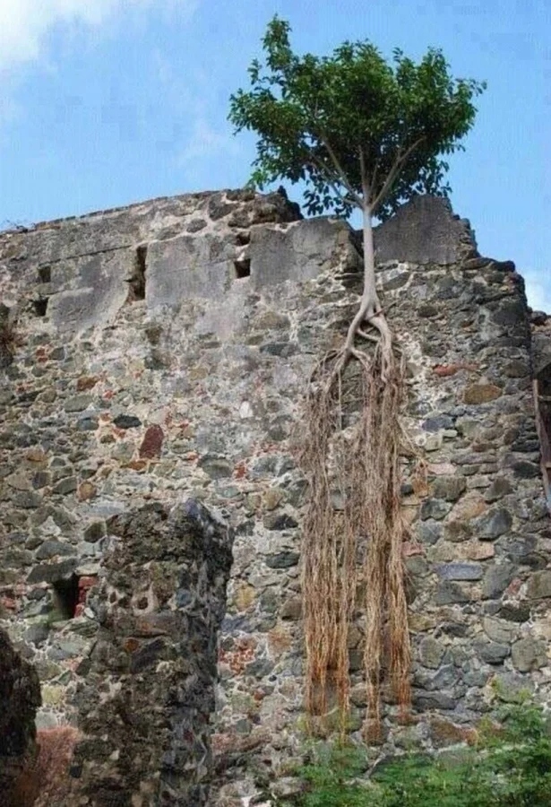 The Power Of Nature (23 pics)