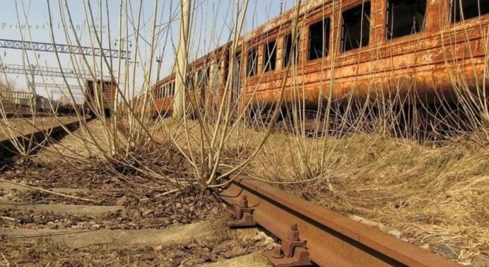 The Power Of Nature (23 pics)