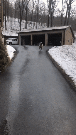 Acid GIFs, October 9 (25 gifs) Acid GIFs, October 9 (25 gifs)