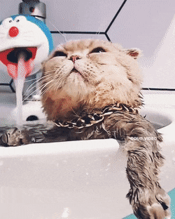 Acid GIFs, October 9 (25 gifs) Acid GIFs, October 9 (25 gifs)