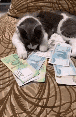 Acid GIFs, October 9 (25 gifs) Acid GIFs, October 9 (25 gifs)
