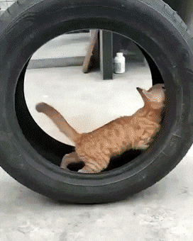 Acid GIFs, October 9 (25 gifs) Acid GIFs, October 9 (25 gifs)