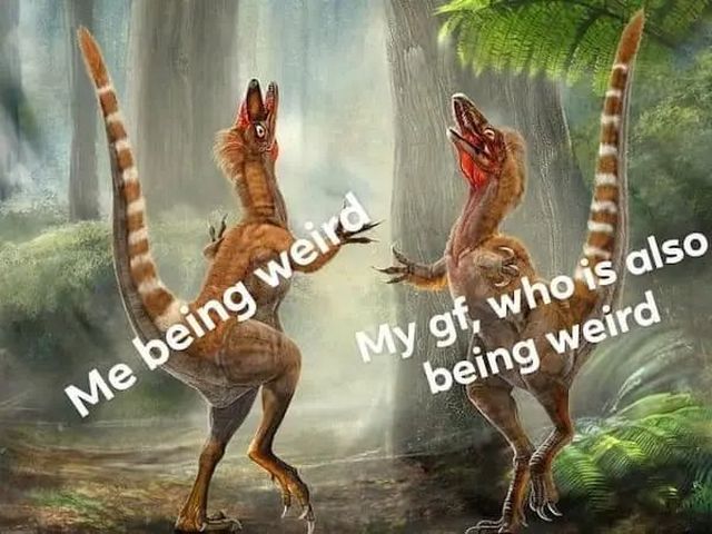 Memes For Couples (35 pics)