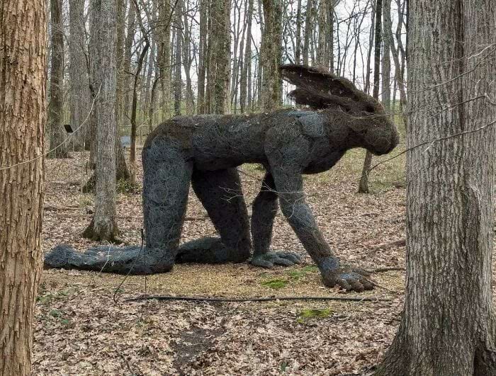 Strange Designs (21 pics)
