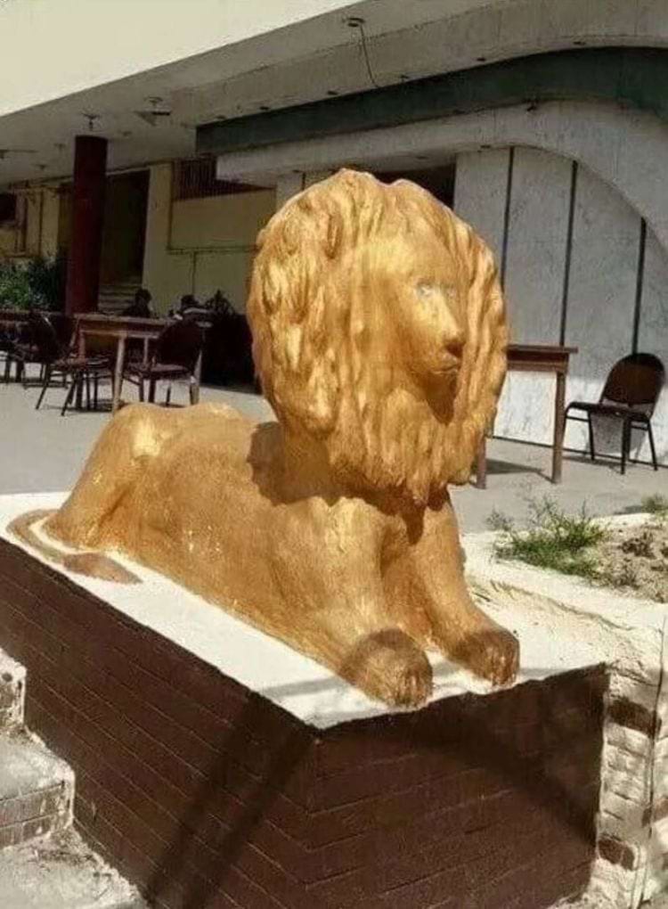 Strange Designs (21 pics)