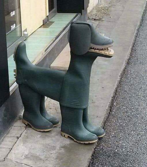 Odd Things And Finds (24 pics)