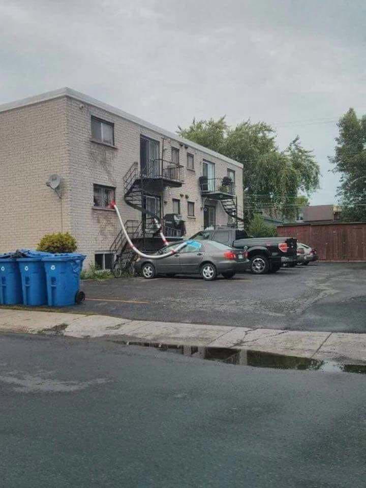Odd Things And Finds (24 pics)