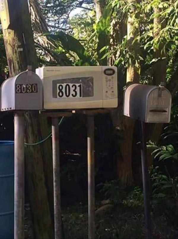 Odd Things And Finds (24 pics)