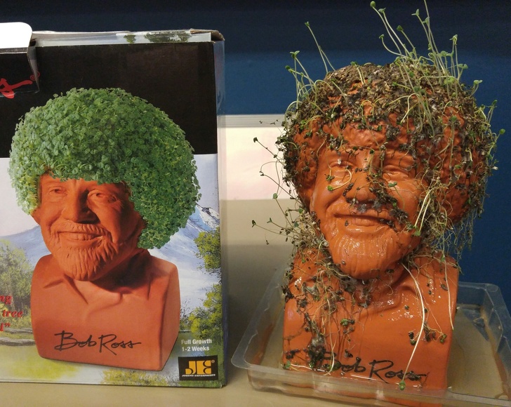 Expectations Against Reality (26 pics)