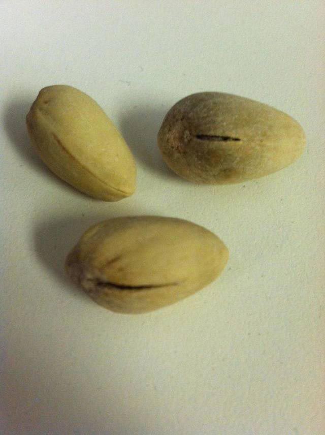 Bad Days Happen (25 pics)