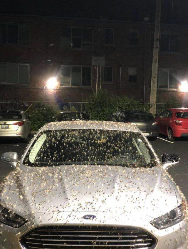 Bad Days Happen (25 pics)