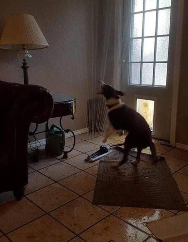 Bad Days Happen (25 pics)