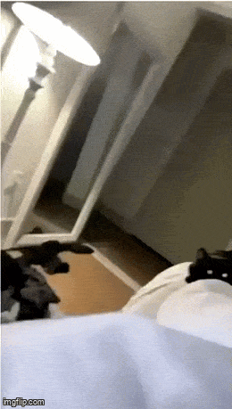 Acid GIFs, October 10 (25 gifs) Acid GIFs, October 10 (25 gifs)