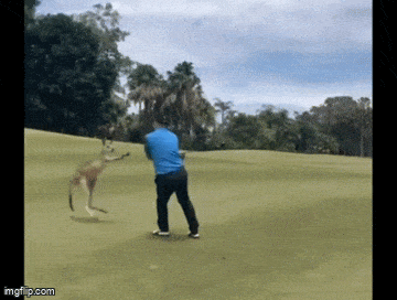 Acid GIFs, October 10 (25 gifs) Acid GIFs, October 10 (25 gifs)