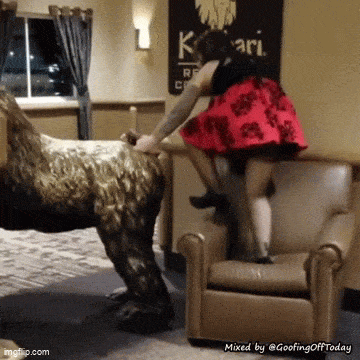 Acid GIFs, October 10 (25 gifs) Acid GIFs, October 10 (25 gifs)