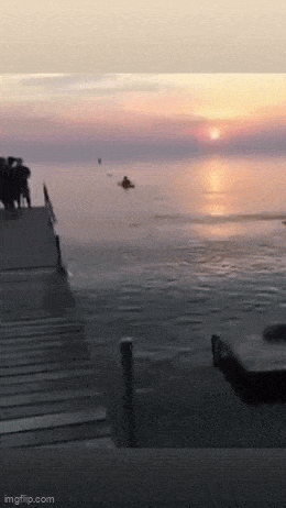 Acid GIFs, October 10 (25 gifs) Acid GIFs, October 10 (25 gifs)