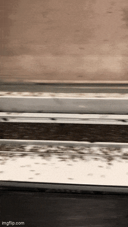 Acid GIFs, October 10 (25 gifs) Acid GIFs, October 10 (25 gifs)