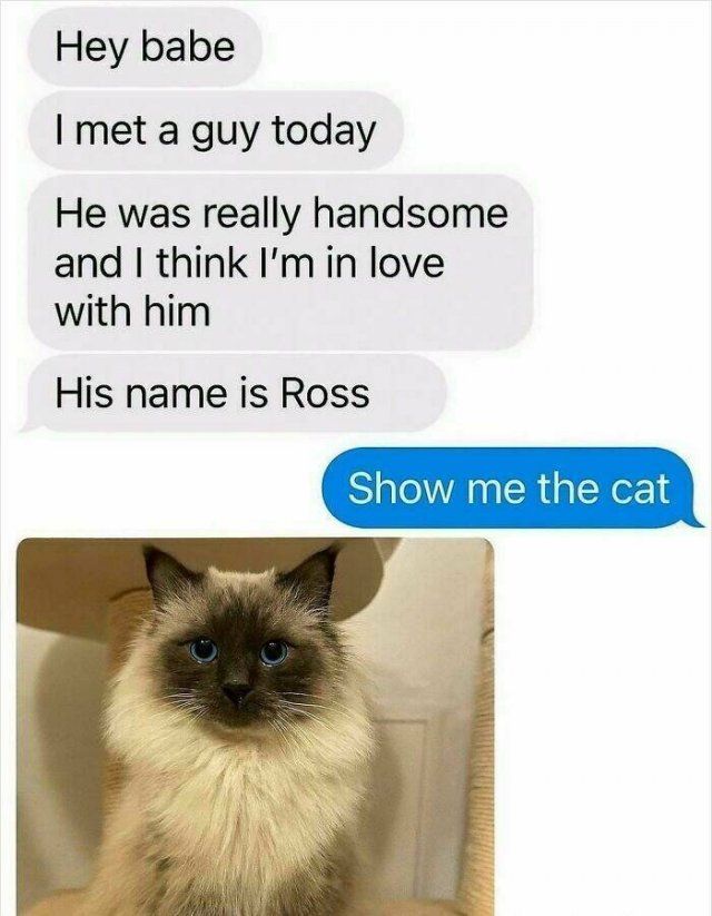 Positive Posts For A Good Mood (21 pics)