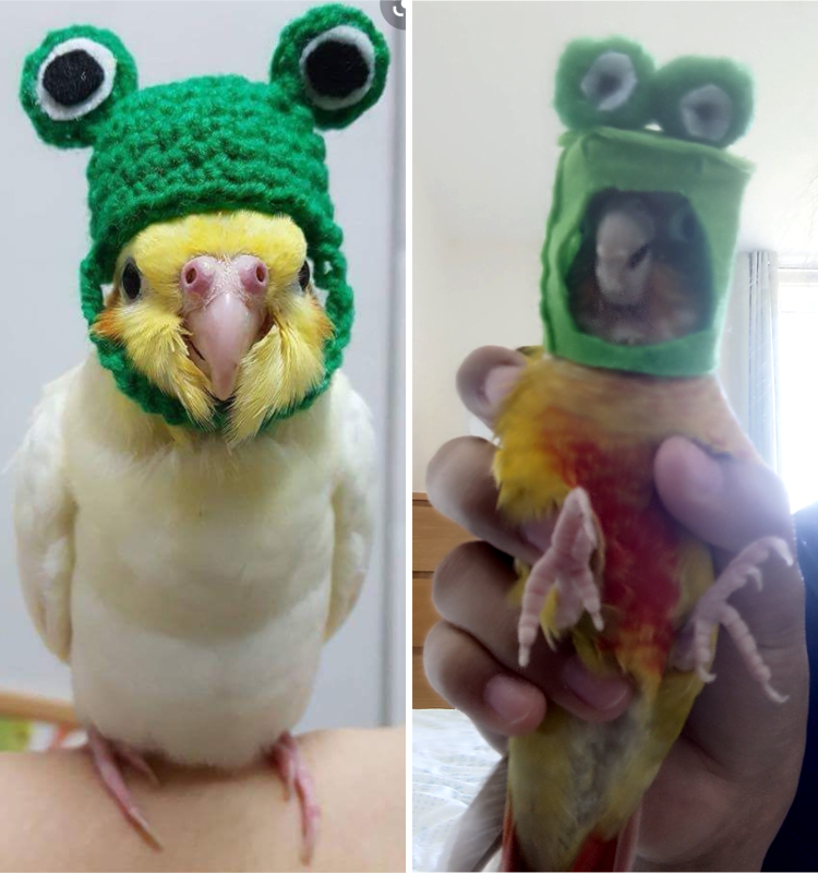 Expectations Against Reality (14 pics)