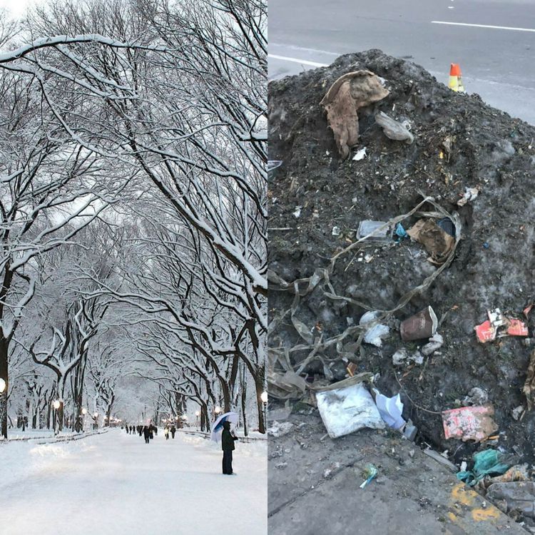 Expectations Against Reality (14 pics)