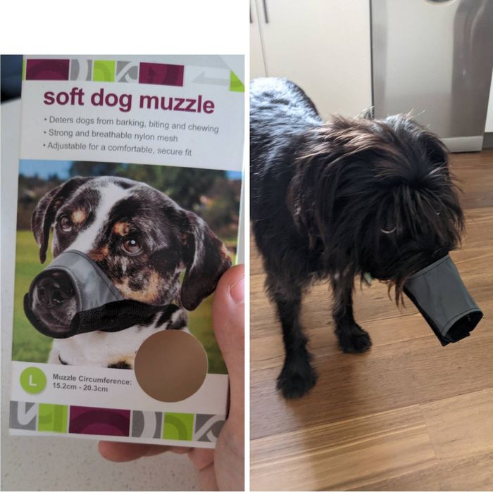 Failed Purchases (17 pics)