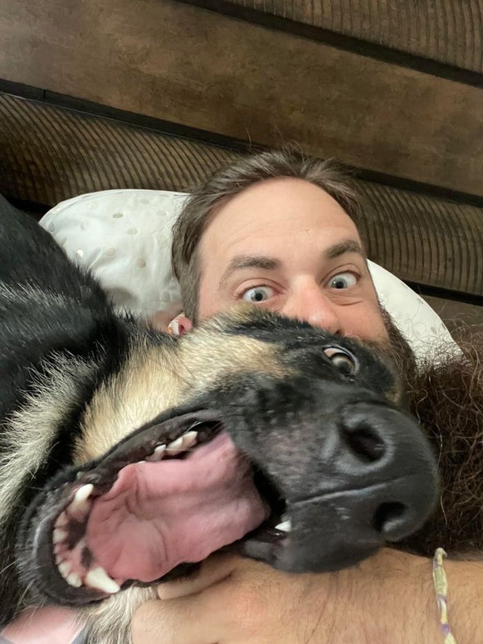 Funny Pets (18 pics)