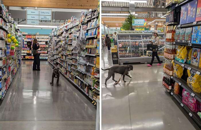 Annoying Situations (15 pics)