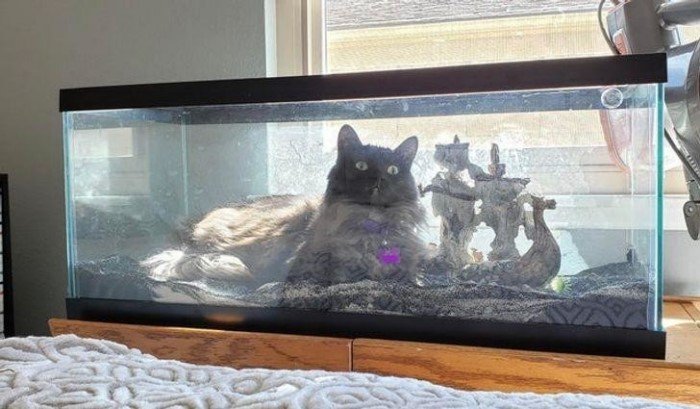 They Can Sleep Anywhere (19 pics)