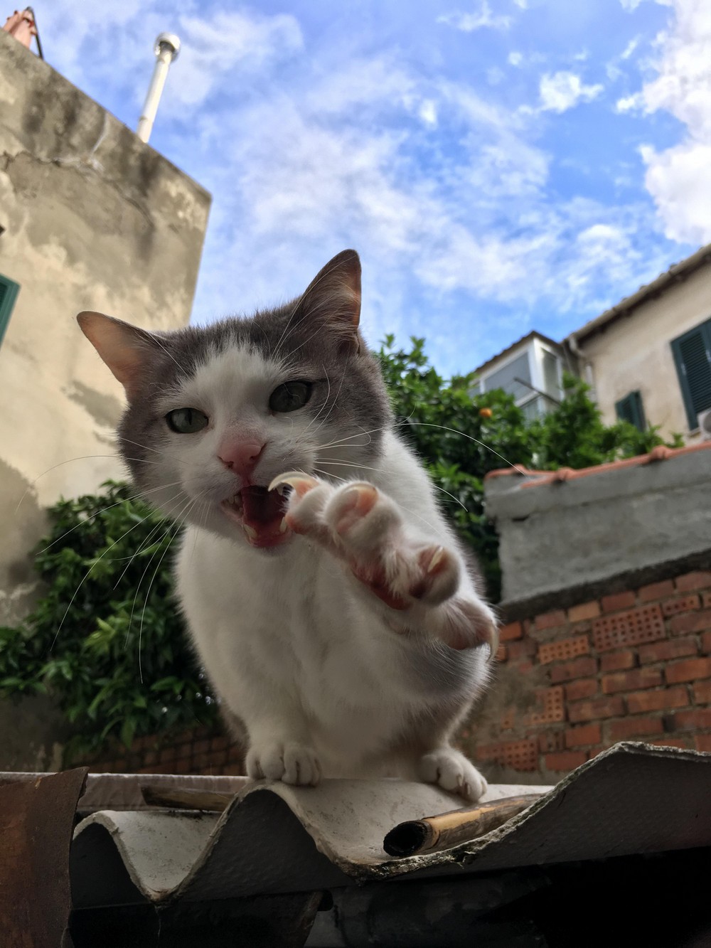 Daily Pictures. Part 2 (64 pics)