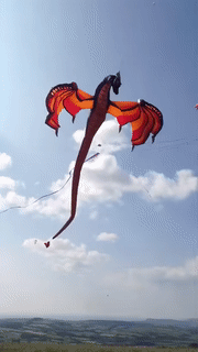 Acid GIFs, October 13 (25 gifs)