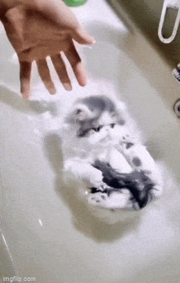 Acid GIFs, October 13 (25 gifs)