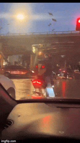 Acid GIFs, October 13 (25 gifs)